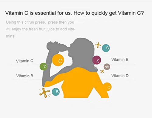 Little ZhuZhu Exprimidor Manual de Frutas Exprimidor de limón Exprimidor de Granada de Aluminio Desmontable, for Todo Tipo de Frutas jugosas, con Mango Largo/Comodidad