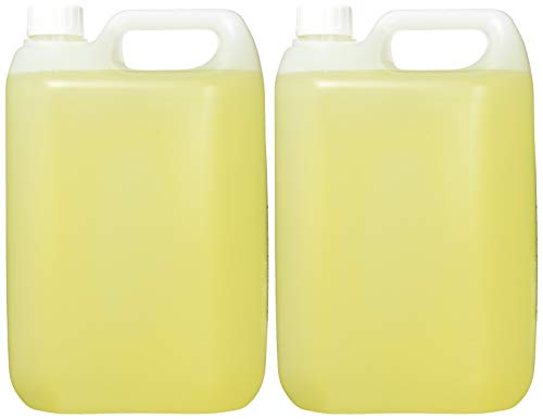 London Fine Soaps BYR235-5 - Pack de 2 botellas de 2 en 1 champú y gel de ducha, fragancia de naranja, 2 x 5 l