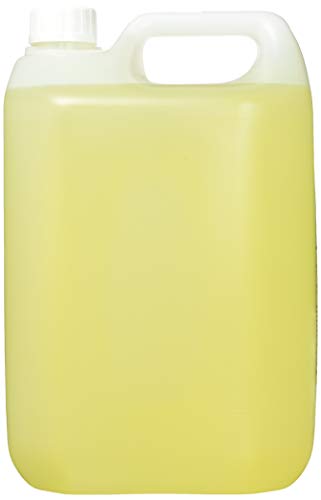 London Fine Soaps BYR235-5 - Pack de 2 botellas de 2 en 1 champú y gel de ducha, fragancia de naranja, 2 x 5 l