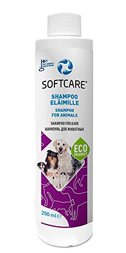 M-SOLUCIONES - Softcare Champú para Perros y Gatos. Sin Sulfatos Fragancias Colorantes.