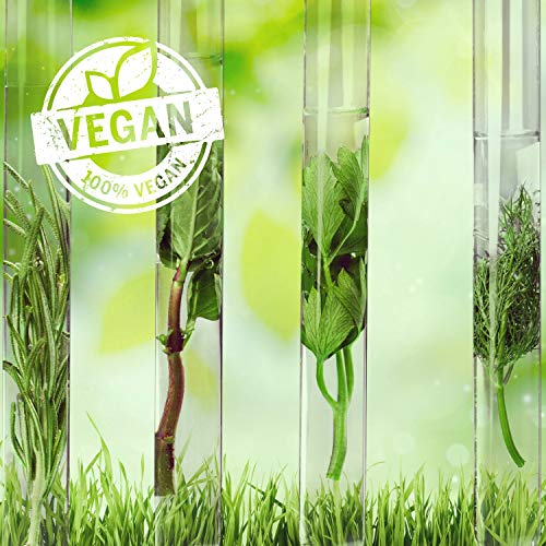 Macadamia Ultra Rich Moisture Champú - 1000 ml