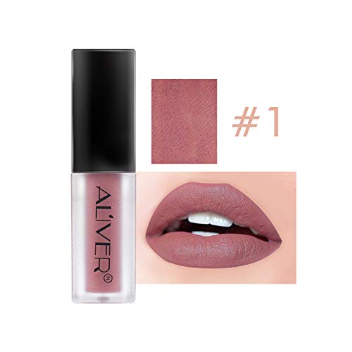 Maquillaje de belleza Brillo labial Terciopelo Mate Impermeable Cosmético ong Lápices labiales duraderos No se desvanecen (6 PCS)