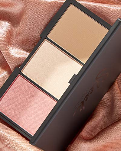 Maquillaje Elegante Cara Contorno y Blush Palette forma justa 20g, Paquete 1er (1 x 20 g)