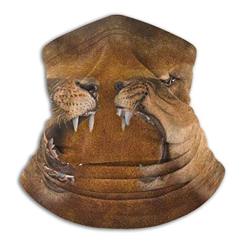 Masai Lioness Roar Sport Balaclava Magic - Cinta para el cuello