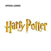 Mascarillas Higiénicas Reutilizables con Licencia- Pack de 8-10 lavados - Fabricadas en España (Harry Potter, 6-9 años)