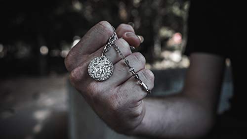 Medusa Medusa Colgante Collar Medusa Colgante Collar para Mujer Plata Acero Inoxidable Colgante Regalos con Cadena Figaro para Señoras 55,88 cm Caja de Regalo - Twistedpendant...