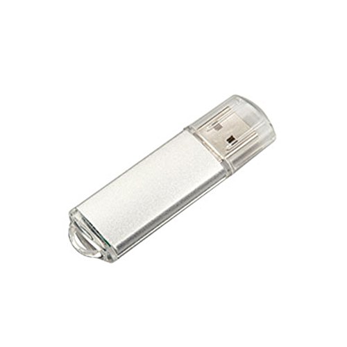 Memoria flash USB AnloterTM, 10 unidades, de metal, USB 2.0, lápiz de memoria, pen drive (32.0 GB)