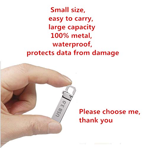 Memoria USB de 256 GB con Llavero, Resistente al Agua, a Prueba de Golpes