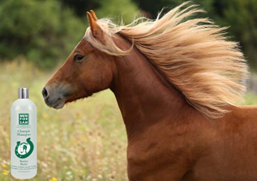 MENFORSAN Champú de Biotina para caballos - 1 Litro