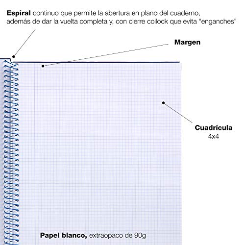 MIQUELRIUS - Pack 5 Cuadernos Cuadriculados - Tamaño Folio 215 x 309 mm, Espiral, Cubierta de Polipropileno translúcido, 80 Hojas de 90 g/m², Cuadrícula de 4 mm con margen, Mensajes, Multicolor