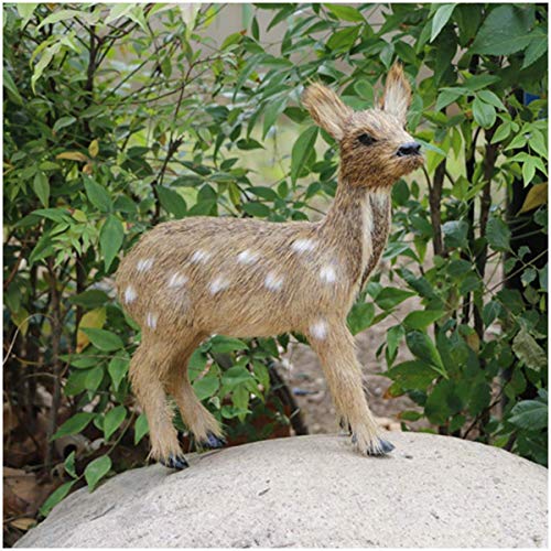 Modelo simulado ciervo almizclero - Juguete realista y realista simulación estatuilla ciervo de río de peluche realista Modelo juguete animal - para la educación los niños,decoración del hogar,Female