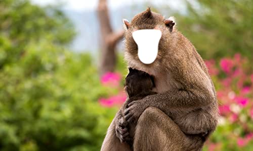 Mono divertido montaje de la foto