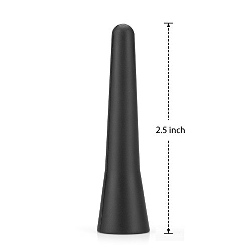 Motorize MZ/AA/01/SW - Antena de Coche Universal M5, M6