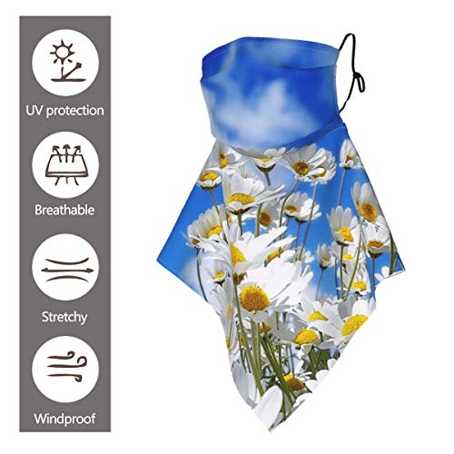 naizi Bandanas bufanda orejeras pasamontañas cara hombres mujeres protección polainas para el cuello cubierta orejeras bufanda para sol polvo viento motocicleta protección