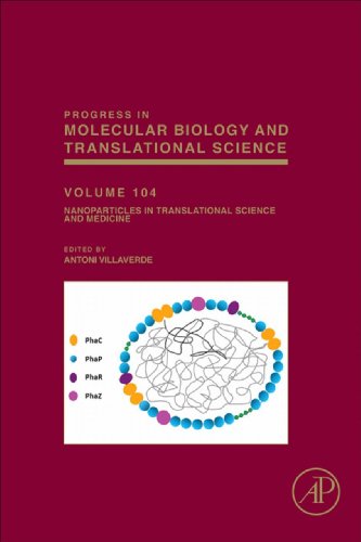 Nanoparticles in Translational Science and Medicine (ISSN Book 104) (English Edition)
