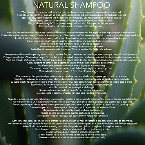 NATURAL - CHAMPÚ para CABELLO RIZADO - Con ACEITE DE ARGÀN, COCO Y NARANJA DULCE - 250ml - por POO FREE - Sin Sulfatos, Sin Parabenos, Sin Silicona. Concentrado, Fàcil de Enjuagar.