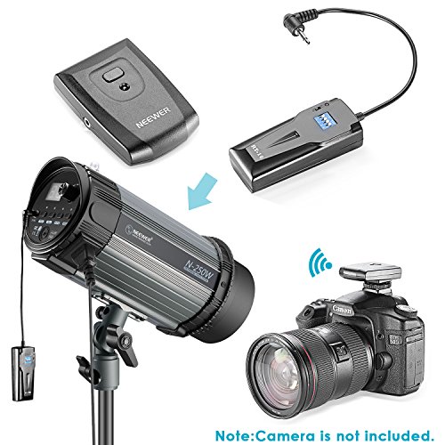 Neewer 500W Kit de Iluminación Flash Estroboscópico - (2)250W Monolight, (2)Softbox, (1)RT-16 Set de Disparador y Receptor Inalámbrico, (2)Paraguas Translúcido para Video y Disparo de Retrato(N-250W)