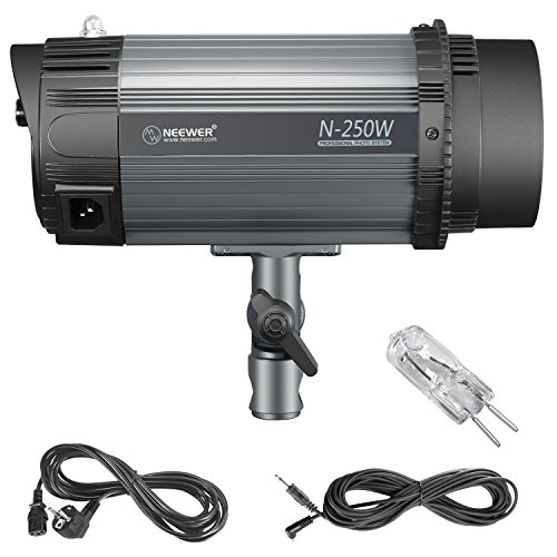 Neewer 500W Kit de Iluminación Flash Estroboscópico - (2)250W Monolight, (2)Softbox, (1)RT-16 Set de Disparador y Receptor Inalámbrico, (2)Paraguas Translúcido para Video y Disparo de Retrato(N-250W)