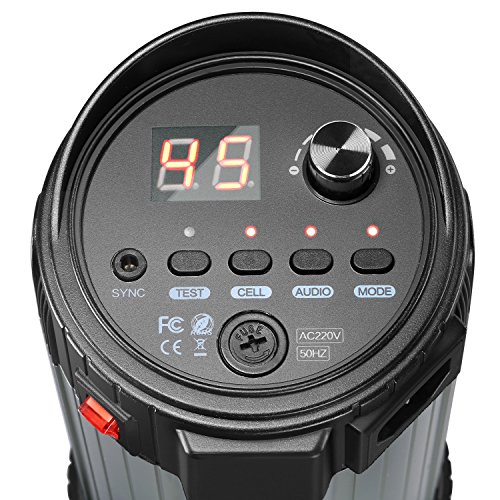 Neewer 500W Kit de Iluminación Flash Estroboscópico - (2)250W Monolight, (2)Softbox, (1)RT-16 Set de Disparador y Receptor Inalámbrico, (2)Paraguas Translúcido para Video y Disparo de Retrato(N-250W)