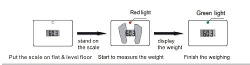 NewlineNY Pisar super mini báscula de baño viajes, verde