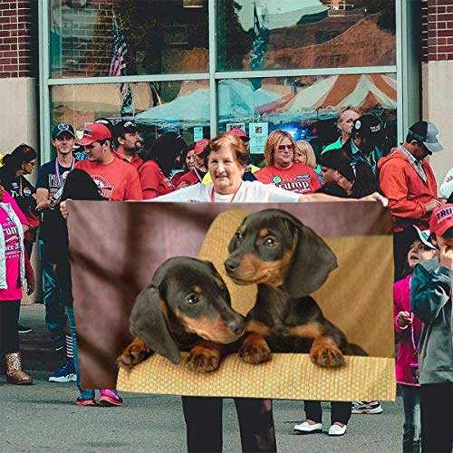 Oaqueen Banderas Cute Dackel Dog Lover Official Flags Durable Heavyweight House Flag Fade Resistant Outdoor Banner with Grommets Yard Holiday and Seasonal Decorative Flags 2020-3X5 Ft