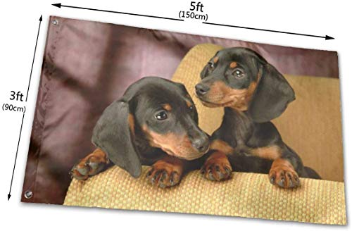 Oaqueen Banderas Cute Dackel Dog Lover Official Flags Durable Heavyweight House Flag Fade Resistant Outdoor Banner with Grommets Yard Holiday and Seasonal Decorative Flags 2020-3X5 Ft