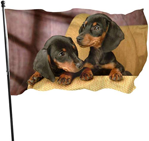 Oaqueen Banderas Cute Dackel Dog Lover Official Flags Durable Heavyweight House Flag Fade Resistant Outdoor Banner with Grommets Yard Holiday and Seasonal Decorative Flags 2020-3X5 Ft