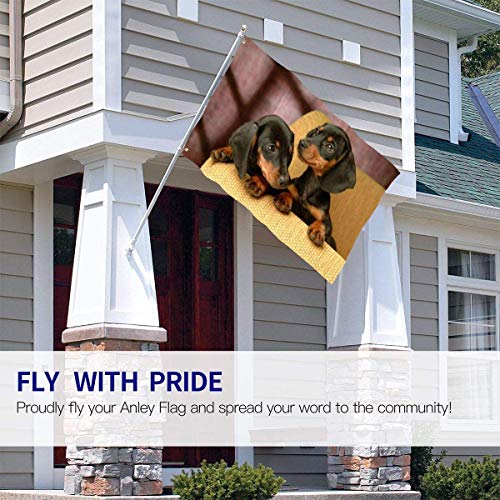 Oaqueen Banderas Cute Dackel Dog Lover Official Flags Durable Heavyweight House Flag Fade Resistant Outdoor Banner with Grommets Yard Holiday and Seasonal Decorative Flags 2020-3X5 Ft