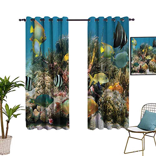 Ocean Decor Collection - Cortina aislante para oscurecimiento de habitaciones (150 x 150 cm), color azul