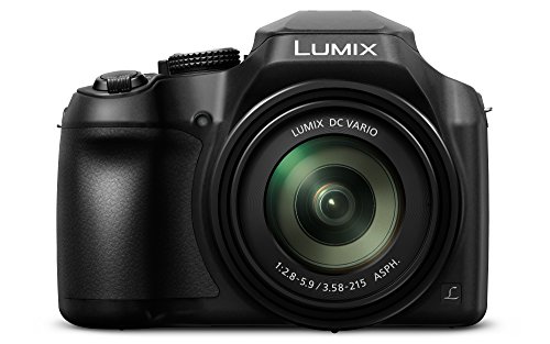 Panasonic Lumix DC-FZ82 - Cámara Bridge de 18.1 MP (Zoom de 60X, Objetivo F2.8-5.9 de 20-1200 mm, tecnología DFD, 4K, WiFi), Color Negro & AmazonBasics - Funda para cámara de fotos réflex, color negro