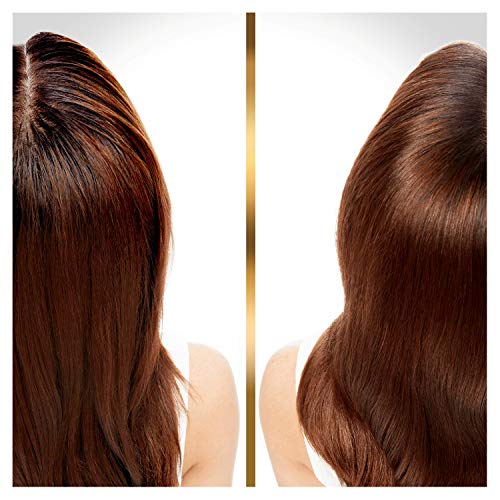 Pantene Pro-V Hair Biology Purifica & Reconstruye Champú 250 ml, Para Raíces Grasas Y Puntas Secas