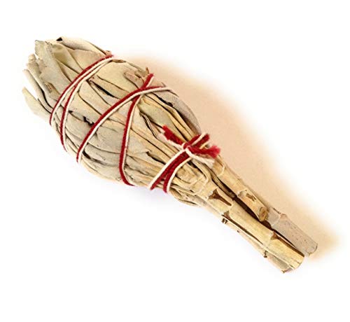 Paquete de piedras protectoras y salvia: Turmalina, labradorita, obsidiana, amatista, cuarzo ahumado, hematita, ojo de tigre, salvia blanca de california natural y fresca.