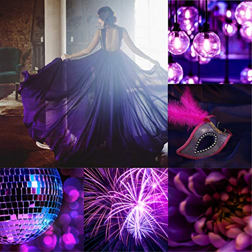 Perfume Choice No 2 por Sofia - Fragancia para mujer - 83 ml Eau de Parfum, por Milton-Lloyd