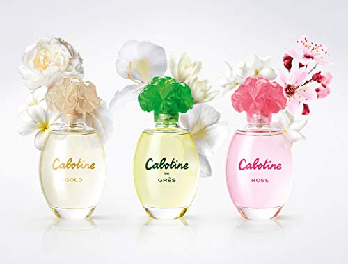 Perfumes de Mujer Original Cabotine Rose EDT EAU de Toilette 100 ml Agua de Tocador Fragancia Colonia duradera Oferta Regalo Cumpleaños Joven Fresca (Gres Rose EDT, 100 ml)