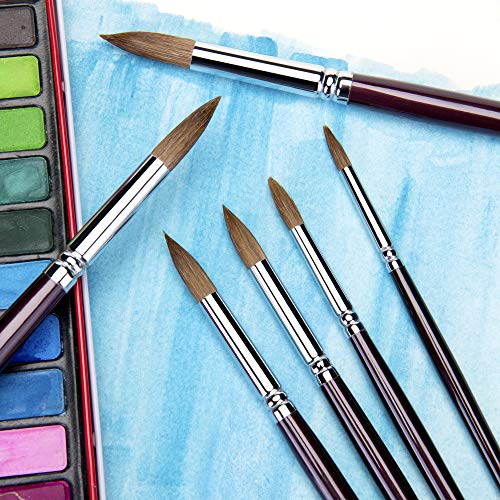 pinceles de acuarela de comadreja de sable rojo - 6 piezas punta redonda punta artista pincel profesional para pintura de acuarela largo brich mango de madera