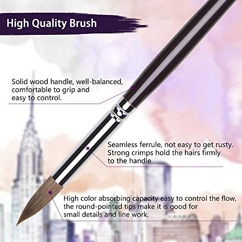 pinceles de acuarela de comadreja de sable rojo - 6 piezas punta redonda punta artista pincel profesional para pintura de acuarela largo brich mango de madera