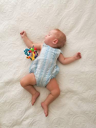 Playgro Pelota Sonajero, Sin BPA, Desde los 6 Meses, Explor-a-Ball, Multicolor (Azul, Rojo, Blanco, Verde), 40122