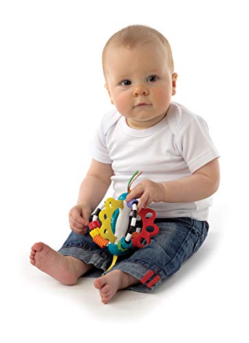 Playgro Pelota Sonajero, Sin BPA, Desde los 6 Meses, Explor-a-Ball, Multicolor (Azul, Rojo, Blanco, Verde), 40122