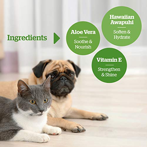 Pogi's Grooming Wipes Paquete de Viaje - 120 toallitas desodorantes para Perros - No perfumadas, Naturales, Extra Grandes, Biodegradable