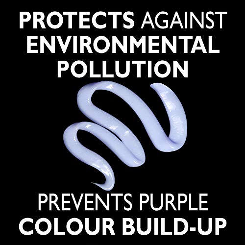 PROVOKE Touch of Silver Colour Care Shampoo para cabello rubio, platino, blanco o gris, 1000 ml