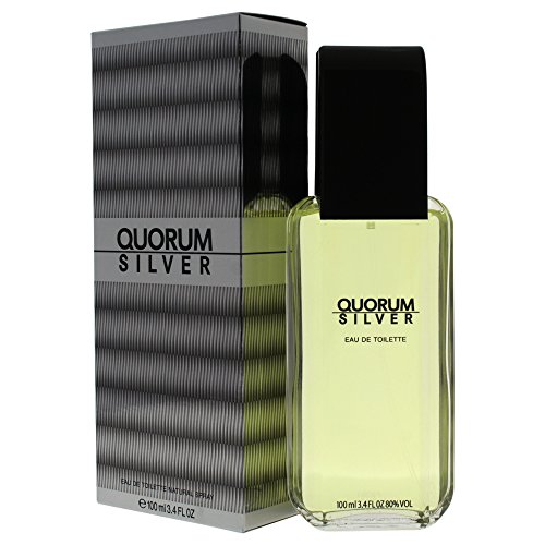 Quorum Silver Quorum Eau de Toilette Vaporizador 100 ml