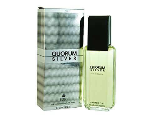 Quorum Silver Quorum Eau de Toilette Vaporizador 100 ml