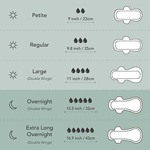 Rael Compresas 100% algodón ecológico, regular ultrafinas con alas