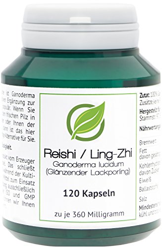 Reishi | Ling-Zhi (Ganoderma lucidum) - 120 Cápsulas en caja para preservar el aroma por cada 360 miligramos