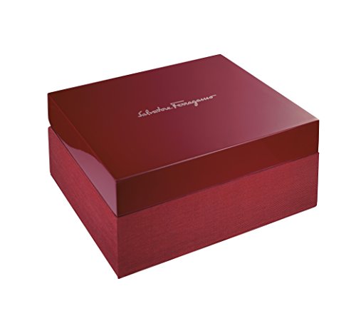 Reloj Salvatore Ferragamo (SAM27) - Hombre FAZ030017