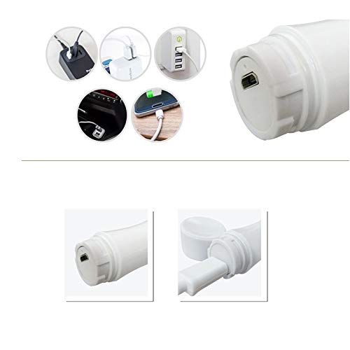 Removedor del pelo facial de las mujeres sin dolor facial pelo Trimmer recargable USB Aplicar a Bikini/cejas/pelusa del melocotón/del pelo facial/Lip/Chin (Color : White)