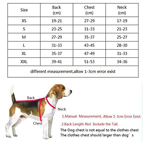 Ropa para Perros Impermeable del Impermeable de Doble Capa para los Trajes caniche Husky Oso Sombrero, Verde Claro, L