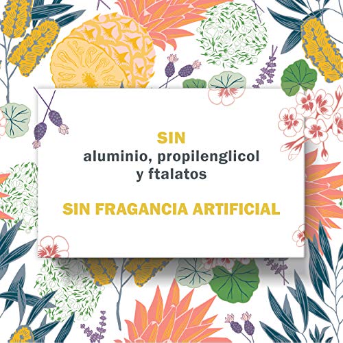 Schmidt's - Desodorante Natural en Barra para Pieles Sensibles Sin Perfume Vegano - 75 g