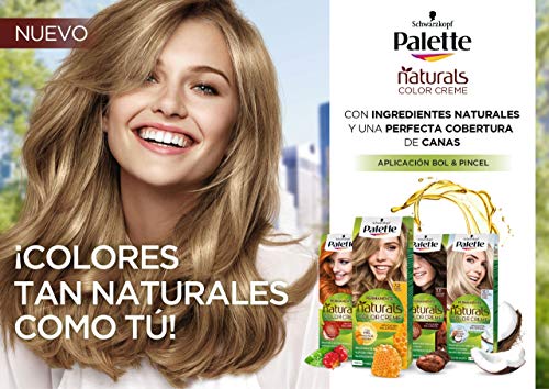 Schwarzkopf Palette Naturals - Coloración Permanente Tono 8.1 Rubio Claro Helado, 550 gr (Pack de 5)