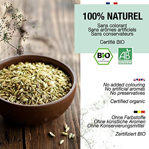 SEMILLAS DE HINOJO ECOLÓGICAS 200G | Te de hinojo para lactancia con bebé, digestiva | HINOJO INFUSION ecológica para té a granel